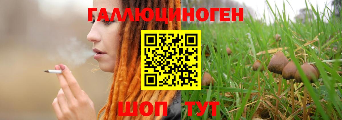 Псилоцибиновые грибы мухоморы  Псилоцибиновые грибы Cubensis  Мурино  Вход с VPN 